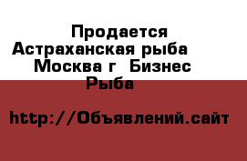 Продается Астраханская рыба !!! - Москва г. Бизнес » Рыба   